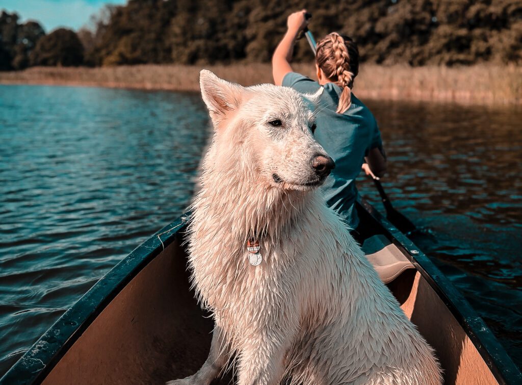 Kanu fahren mit weißem Schäferhund in der Mecklenburger Seenplatte