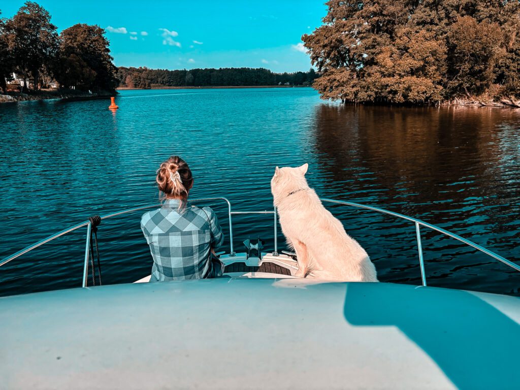 Boot mit Hund in der Mecklenburgischen Seenplatte