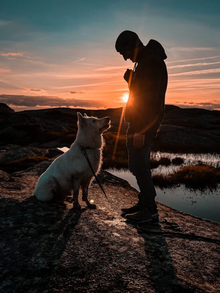 Urlaub mit Hund in Schweden an der Küste von Bohuslän