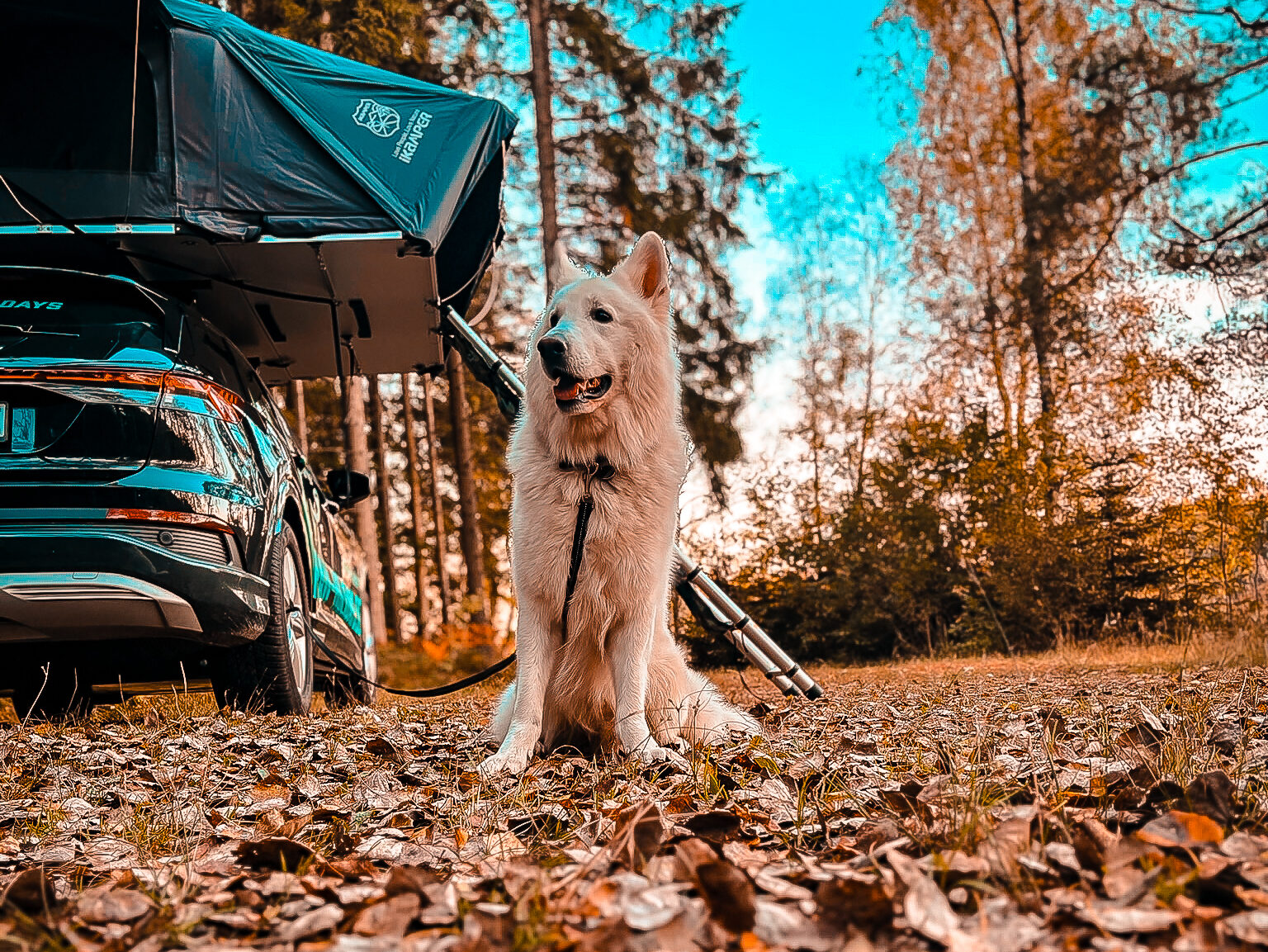 Jukon vor dem Auto mit Dachtzelt