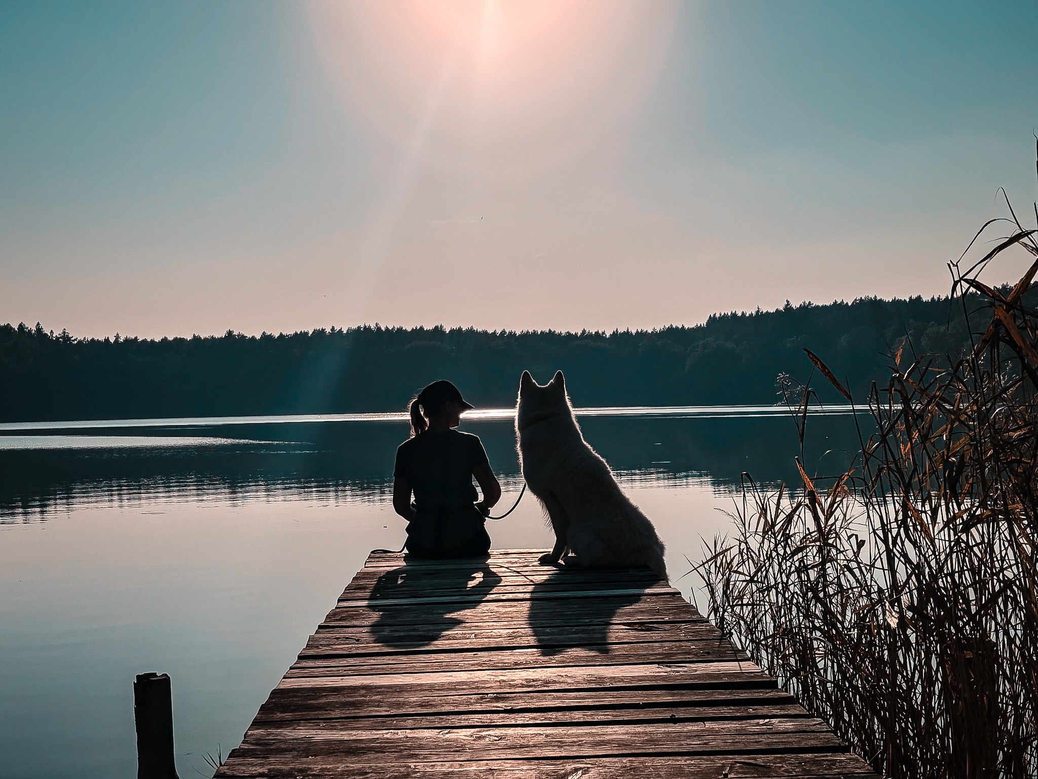 Lisa und weißer Schäferhund auf den Steg mit Ausblick auf See