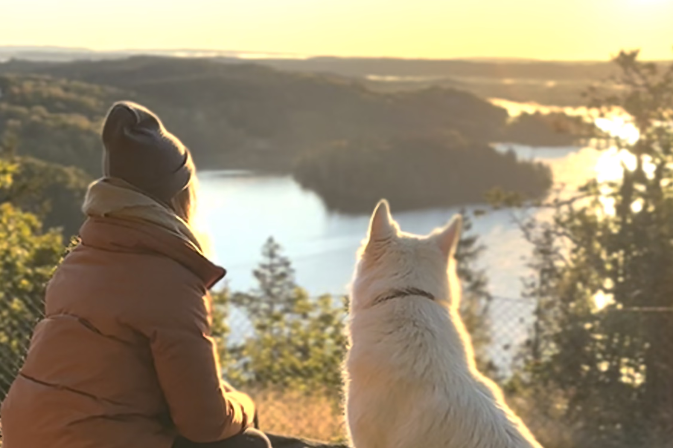 Reiseziele mit Hund