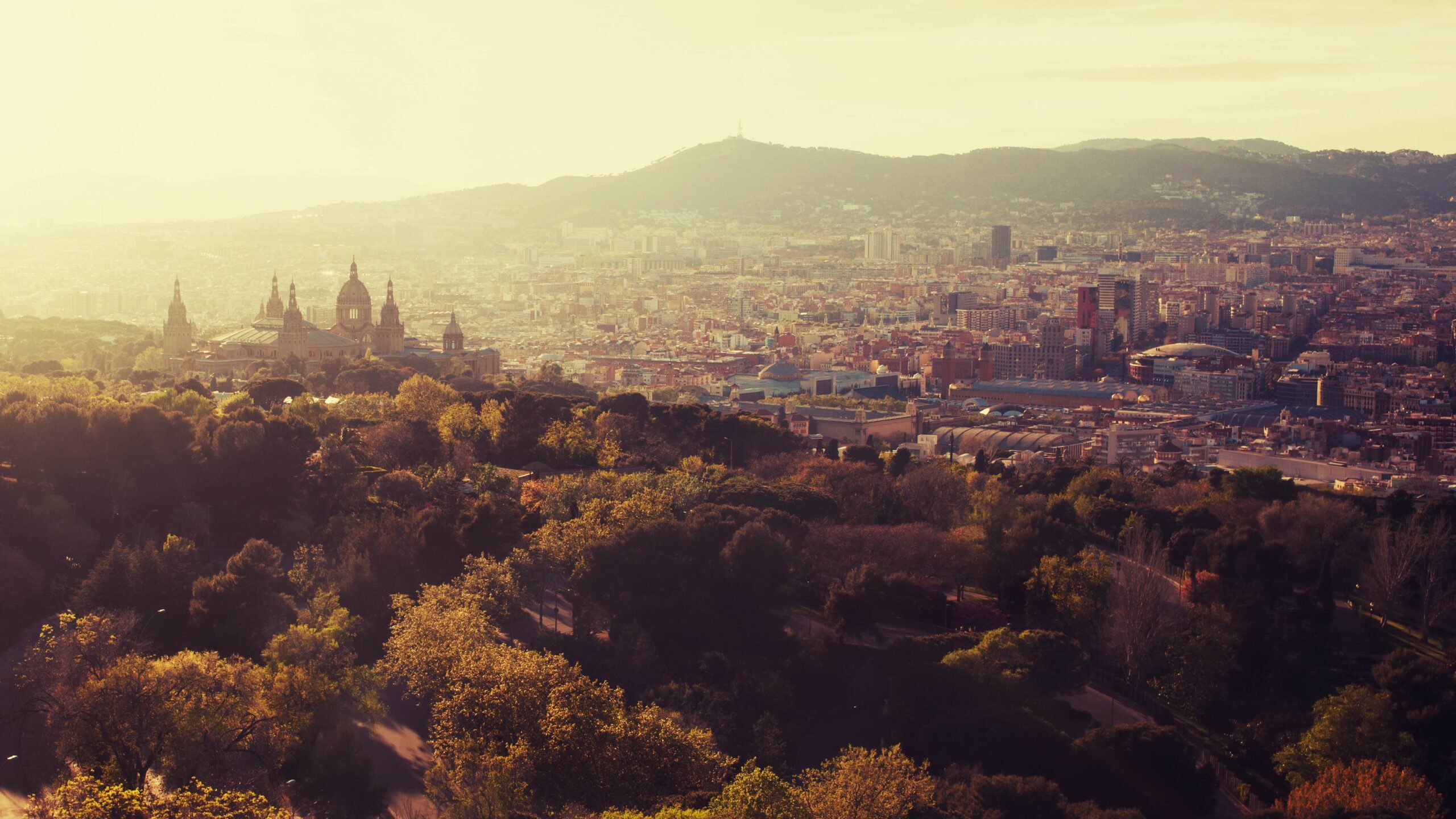 Barcelona aus der Vogelperspektive